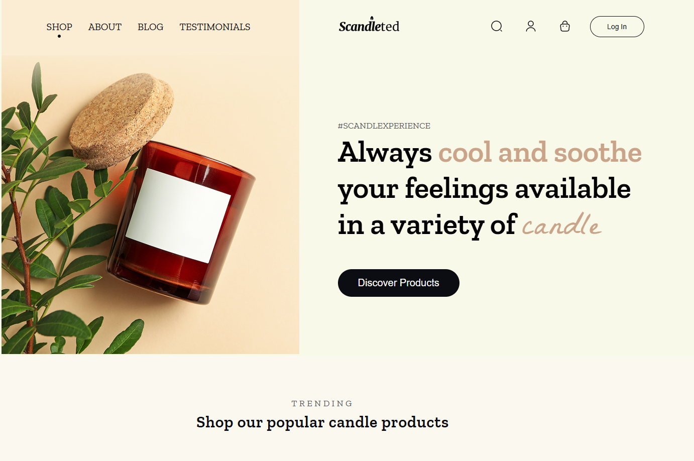 Websites & Layout